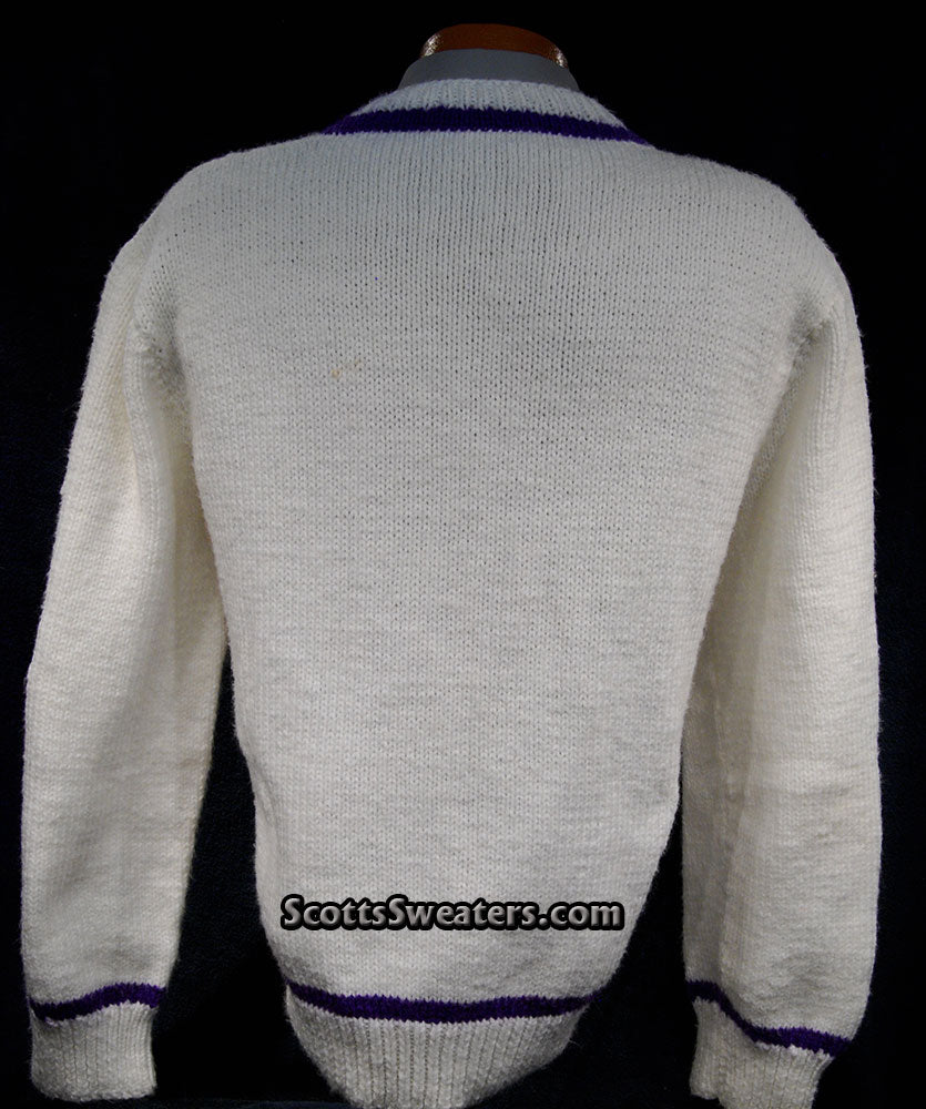 Men's Sporty V-neck Pullover Tennis/Cricket Sweater [#609-055]